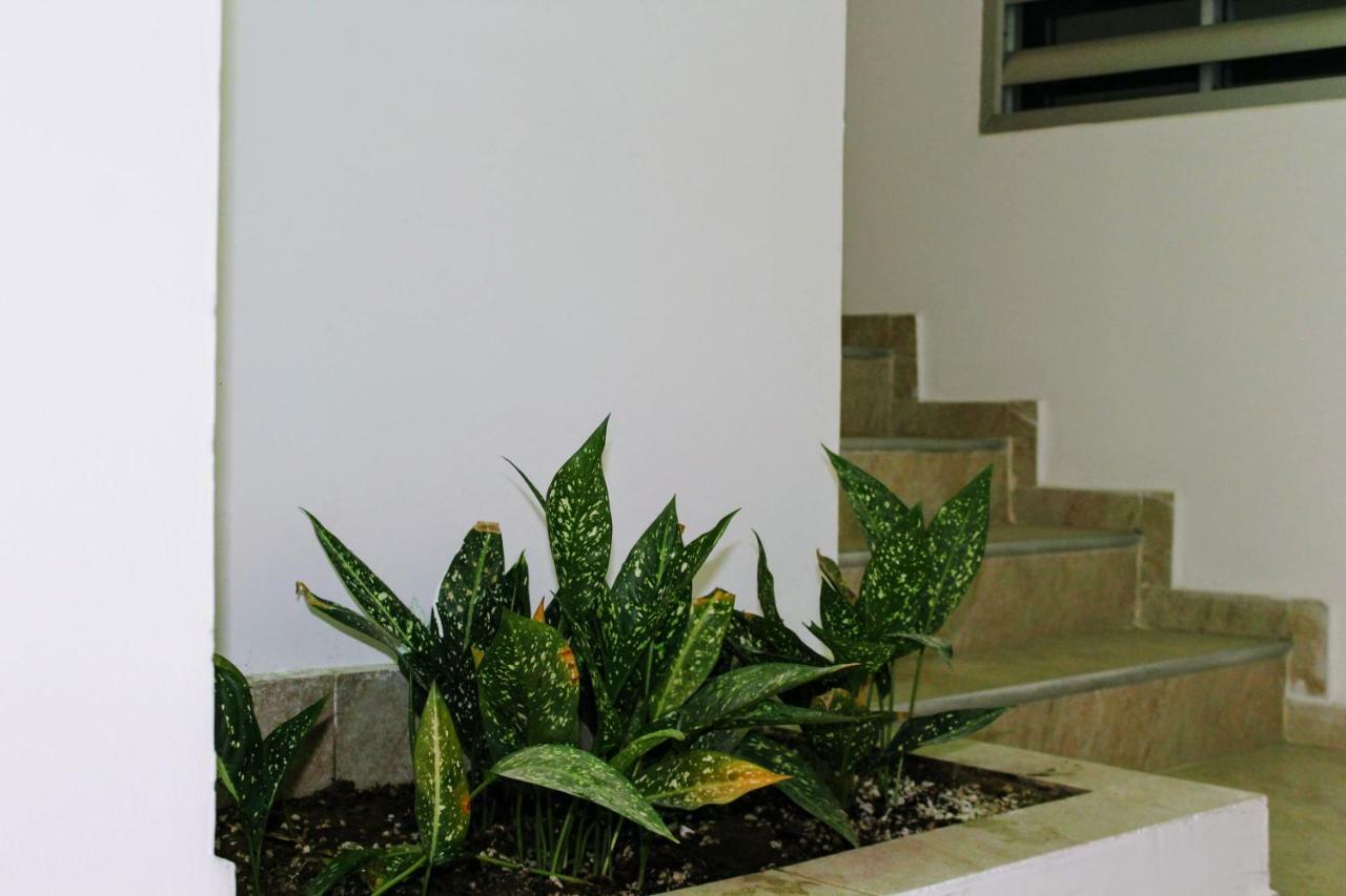 D Rio Apartamentos Ríohacha Exterior photo